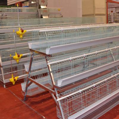 China Professional Farms Supply Chicken Cage Commercial Egg Production Equipment for sale