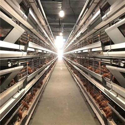 China Full Automatic Equipment Chicken Racing Design Chook Pen Design Chicken Cages For Sale Cheap for sale