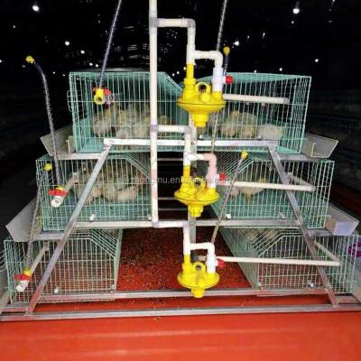 China High Quality Layer Poultry Cage For Poultry Farm House Chicken Cage For 1 Day Old Chicks for sale