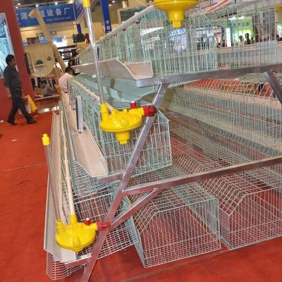 China China Manufacture Best Selling Professional Egg Layer Chicken Layer Cage For Farm for sale