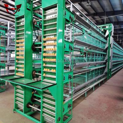 China cheap layer chicken cage/broiler chicken cage/chicken cage for sale for sale