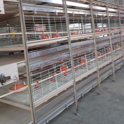 China hot sale chicken and cheap price chicken cage/chinese chicken wire for birdcage for sale