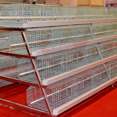 China grow chicken cage door/automatic metal chicken cage/large chicken cage for sale