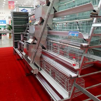 China Automatic cheap chicken layer quails/poultry farm equipment chicken cage for sale