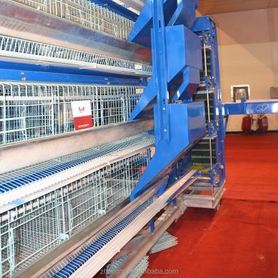 China Durable Fully Automatic Construction Chicken Cages Laying Machines / Battery Cages for sale