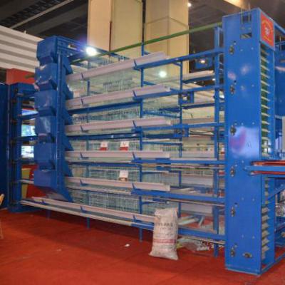 China Automatic Farms Poultry Farm Equipment Battery Design Layer Chicken Cage for sale