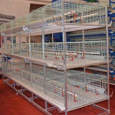 China Durable And Long Life Galvanized H Type New Broiler Poultry Battery Cages For Sale for sale