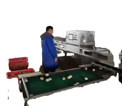 China Farms Hot Sale Chicken Egg Grade, Label And Automatic Package Machinery for sale