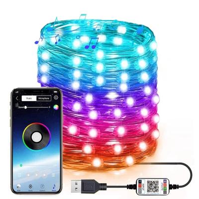 China New Year Christmas Decoration RGB USB LED Holiday Festival Party APP Control Copper Wire Copper Wire Smart Light String Lamp Waterproof Light Lights for sale