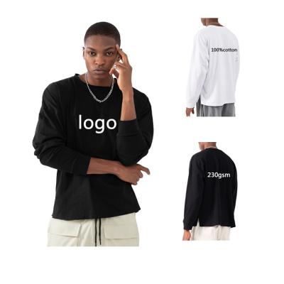 China OEM Design Oversize Crew Neck 100% Cotton 230gsm Blank Anti-Pilling Long Sleeve T-Shirts For Men for sale