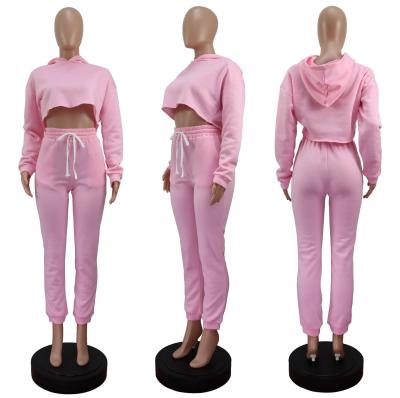 China Anti-pilling 2021 Autumn Clothes Women Solid Long Sleeve Custom Two Piece Crop Top Hoodie Sweatsuit Thicken Heat 2 Piece S for sale