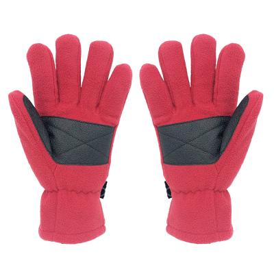 China 3M Thermal Thermal Thinsulate 40 Gram Winter Hand Fleece Gloves For Cold Weather Outdoor Cycling Skiing Custom Logo for sale