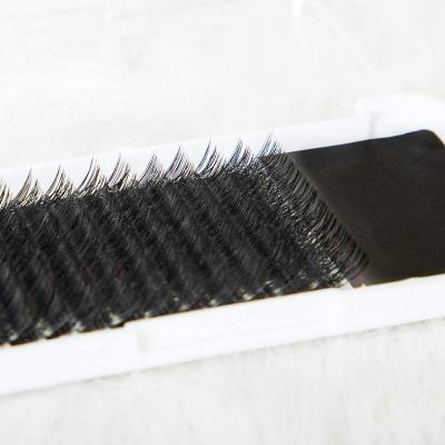 China YY Full Volume False Eyelashes Shaped Eyelash Extension Grafting False Lashes for sale