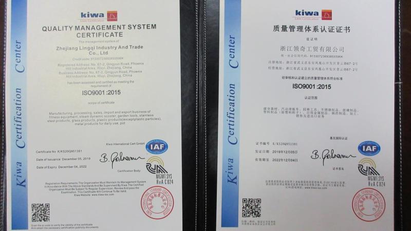 ISO9001 - Zhejiang Lingqi Industry And Trade Co., Ltd.