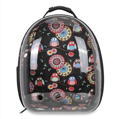 China Viable Cat Bag Pet Backpack Outside Bag Portable Transparent Cat Bag Capsule Space Backpack Breathable Pet Carrier Bag for sale