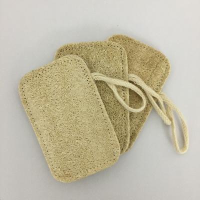 China Sustainable Loofah Kitchen Natural Biodegradable Cleaning Sponge Brush Rubbing Brush Pot Gods Cleaner for sale