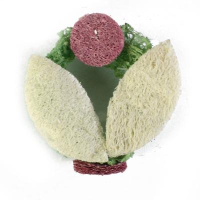 China Viable Design Potted Landscape Carrot Loofah Molar Hamster Rabbit Chewing Toy Pet Oral Care Tool Pet Toys for sale