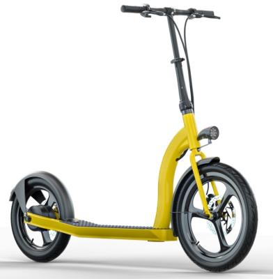 China Latest Design 36v 20 Inch Two Wheel 350w Off Road Unisex Electric Scooter Adult for sale