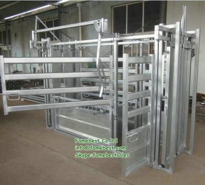 China HOT DIP GALVANIZED EQUIPMENTS CATTLE HANDKING SCARING VET CRUSHES WITH CATTLE HEADBAILS for sale