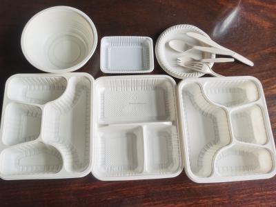 China Factory Hot Sale Eco - Friendly PLA Degradable Take Out Lunch Box Making Machine for sale