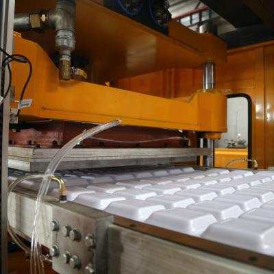 China Automatic hotels EPS fast food box PS foam board production line price for sale Te koop