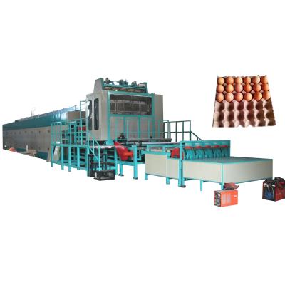 China Eco-friendly Factory Price Egg Tray Machine Production Line Egg Cartoning Machine With Drying Equipment en venta