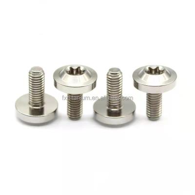 China Titanium Alloy m8*25mm Head Torx Titanium Bolt Full Thread Ti Bolt for sale