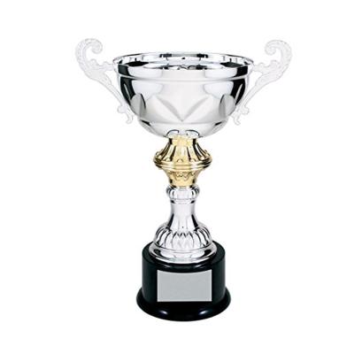 China Custom creative high quality Europe China new design trophy metal cup award champion trophies for sale