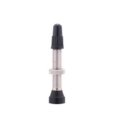 China Road Bike Tire Or Universal Presta Tire Of Mountain Bike Bike Tubeless Tire Valve for sale