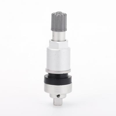 China Aluminum Alloy TPMS-25 Tire Pressure Monitoring Aluminum Valve Stem For GEELY for sale