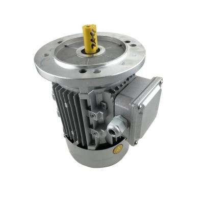 China Waterproof Ordinary Three Phase AC Motor 1400rpm 230v 50hz 380v 50hz 3 Phase Aluminum Shell Asynchronous Motor for sale