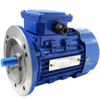 China Ye2112m-4 waterproof three-phase asynchronous motor 50Hz 1 phase motor for sale