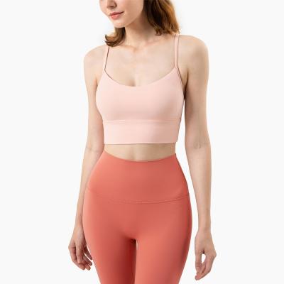 China Custom Sensitive Appearance Women Fitness Yoga Bra NO Price--Feeling Breathable Favorable Fitness Gym For Sport Wear for sale