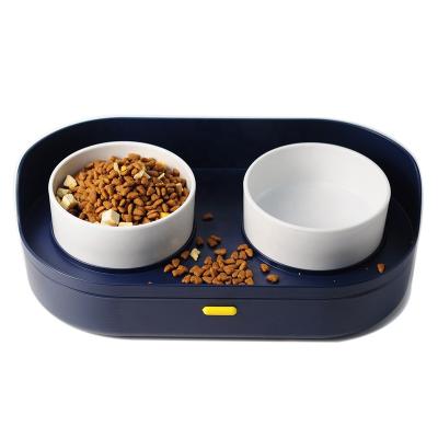 China Non-automatic pet bowl that can store items elevated dog bowl cat bowl for sale