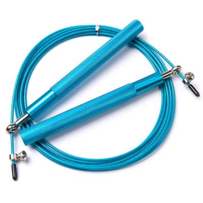 China Hot Selling Plastic Work Out Fitness Cable PVC Steel Wire Coated Jump Rope Fitness Jump Rope For Exercise for sale