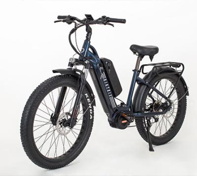 China 1000W Standard Mid Mountain Drive Electric Bicycle for sale