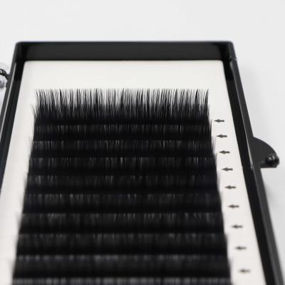 China Professional Classic Natural Stable Art Eyelash Extensions High Quality Material Lashes Mink Extensions 12 Different Lines Soft Lashes for sale