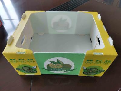 China Herbruikbare plastic fruitdoos met aangepaste capaciteit en ventilatie met kleurenprinten Te koop