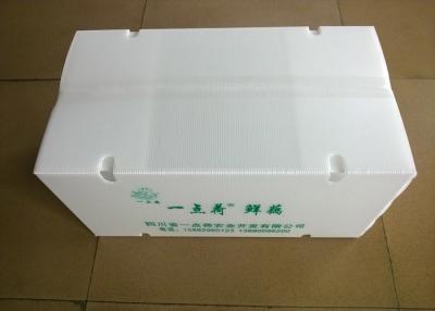 China Cajas plásticas plegables con los agujeros de circulación del aire para transportar verduras en venta