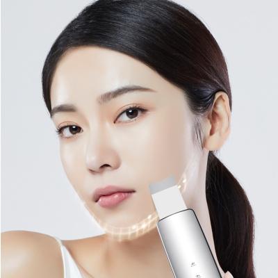 China 26KHZ Hot Cold Ultrasonic Skin Cleanser Blackhead Removal Home Use for sale