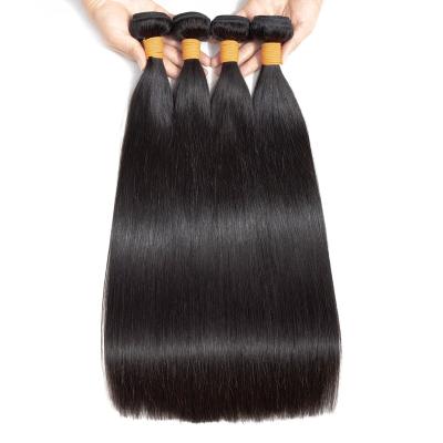 China Indian Seller Silky Straight Wave Raw Virgin Indian Hair, 10a Mink Indian Virgin Hair, Raw Unprocessed Indian Wavy Hair for sale