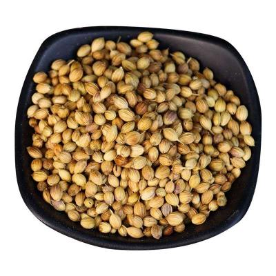 China spice wholesale supplier high quality dried coriander seeds for sale