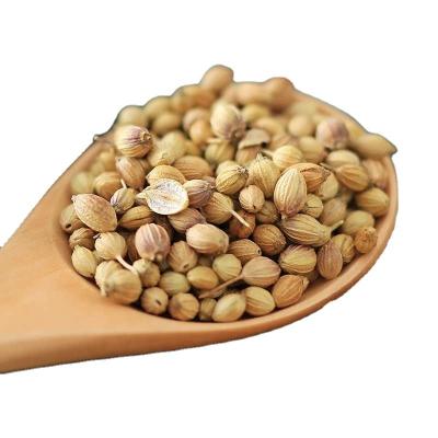 China Factory Price Wholesale Natural Spices High quality Dried Coriander Seeds organic spices for sale