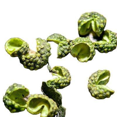 China Wholesale Supplier Factory Spices Sichuan Peppercorn Sichuan Green Pepper for sale