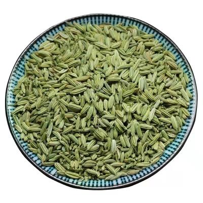 中国 Factory Wholesale Low Price New Fennel Seeds Green Fennel Seeds 販売のため