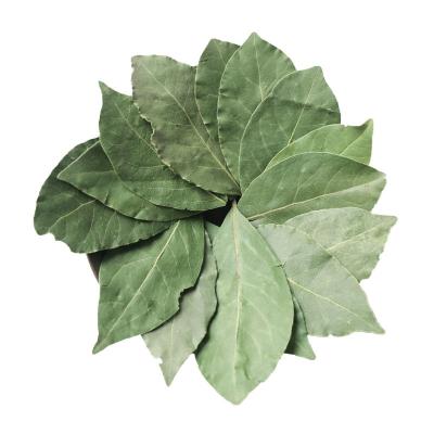 China Factory supply high quality Dehydrated Dried AD air dry Bay leaf for sale