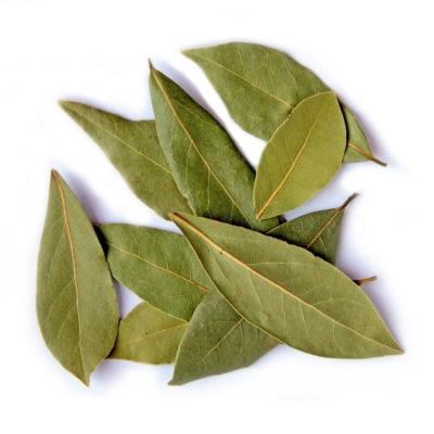 China Wholesale Bayleaf Single Herbs and Spices Dried Bay leaves for sale