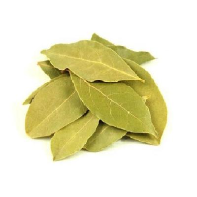 中国 Hot Selling Spices Bay Leaves Spice Herbs Bulk Supply Dried Bay Leaves 販売のため