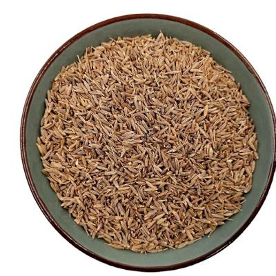 China Factory Spices Supplier Wholesale High grade 100% natural organic Indian Dried Cumin Seeds for sale