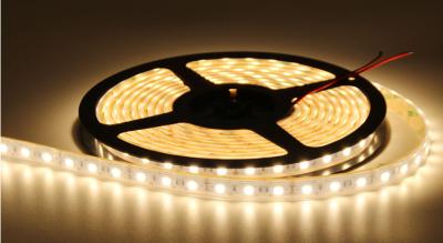 China Warm White DC24V Outdoor Led Strip Lights / Led Lamp Tape IP68 for sale